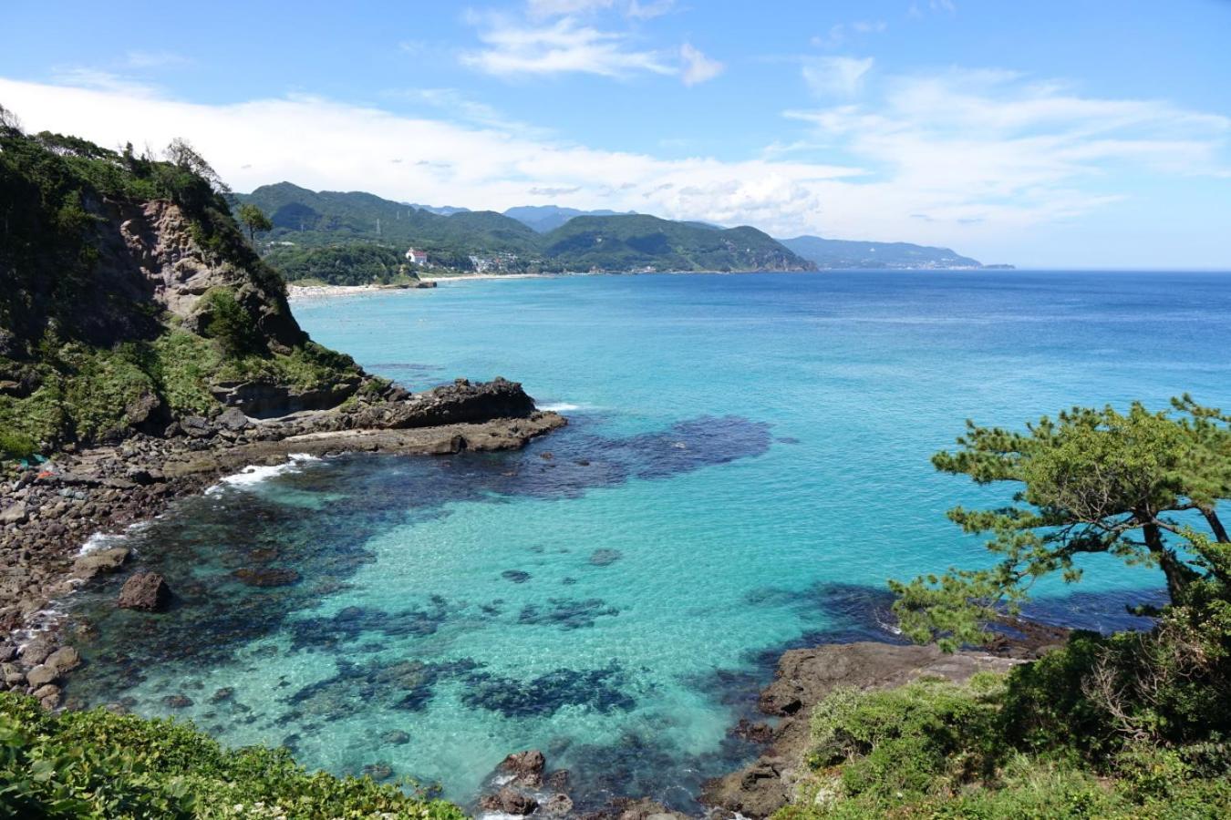 ペンション桜家 Ξενοδοχείο Shimoda  Εξωτερικό φωτογραφία